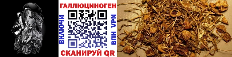 купить закладку  Ревда  Галлюциногенные грибы мицелий 